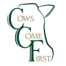 Cows Come First